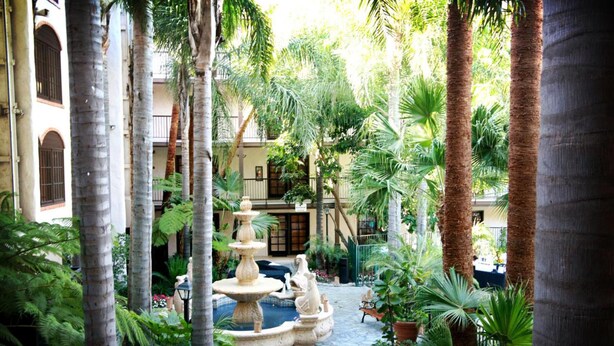 Un patio central con una fuente, rodeado de altas palmeras y abundante vegetación.