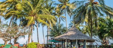 Outdoor pool, sun loungers