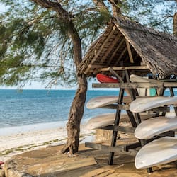 Surfing/boogie boarding