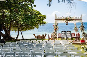 Outdoor wedding area