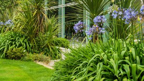 A lush garden with various plants and flowers, including blue and purple blooms, and a glass structure in the background. - Hotel de France (St. Saviour)