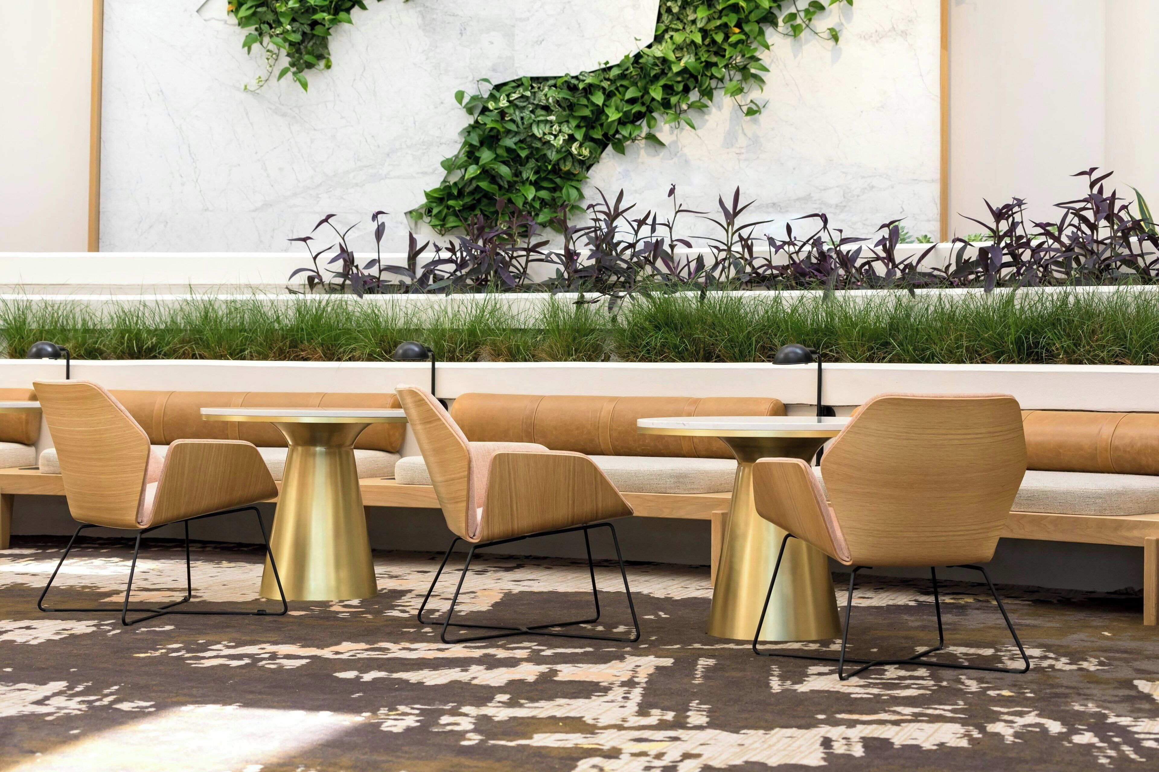Zona salotto interna moderna con panche e sedie in legno, una parete bianca con piante rampicanti verdi e un vaso da fiori basso e erboso con fogliame viola.