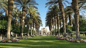 A pathway lined with palm trees leading to a building with an arched entrance. - The Westin Rancho Mirage Golf Resort & Spa (Rancho Mirage)