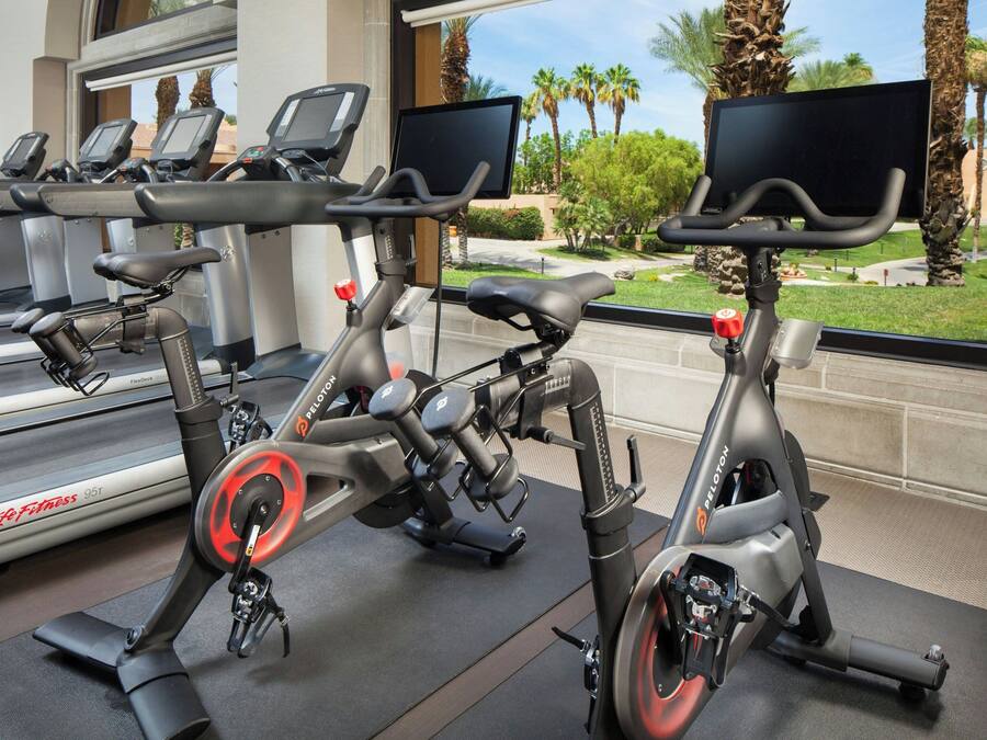 A gym with stationary bikes, treadmills, and a view of palm trees outside.