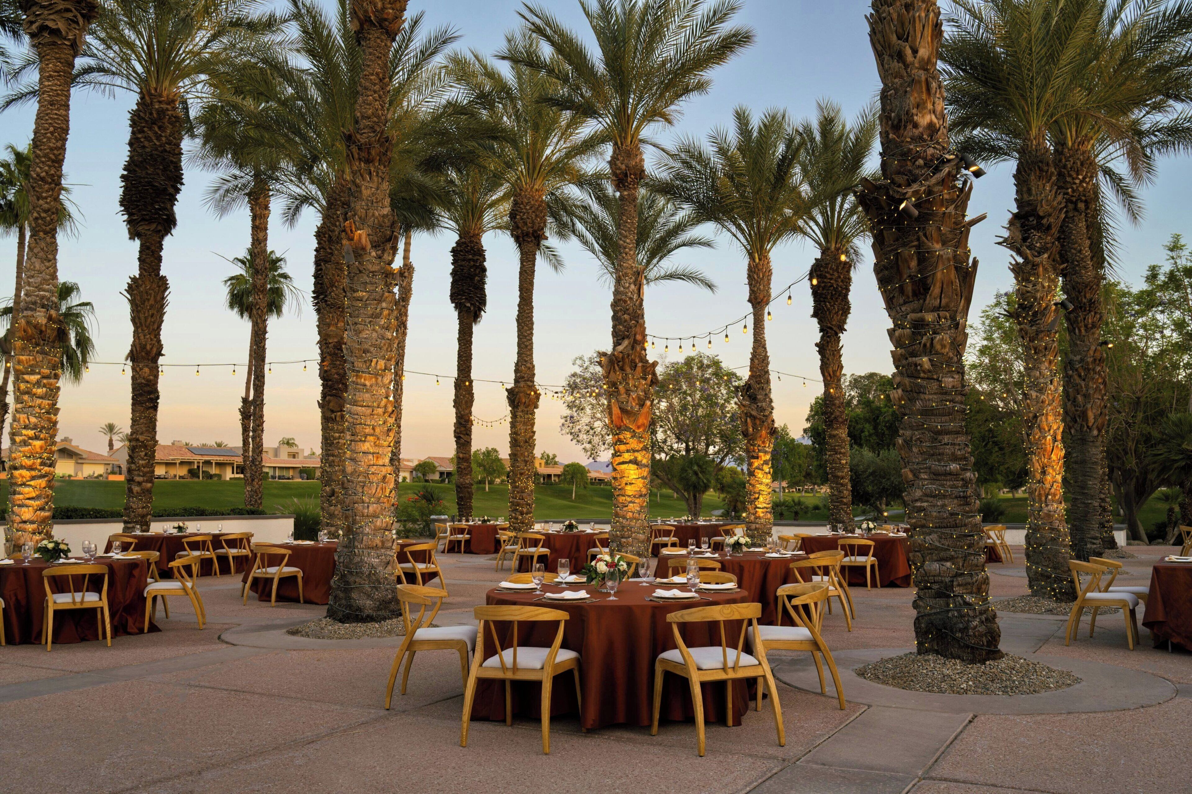 An outdoor dining area with round tables and chairs, surrounded by palm trees.
