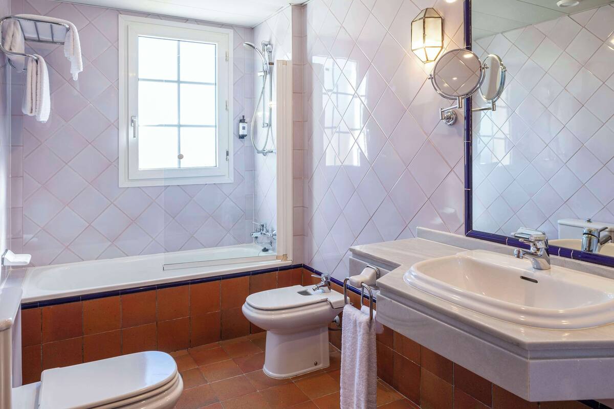 combined shower/bathtub, free toiletries, hair dryer, bidet