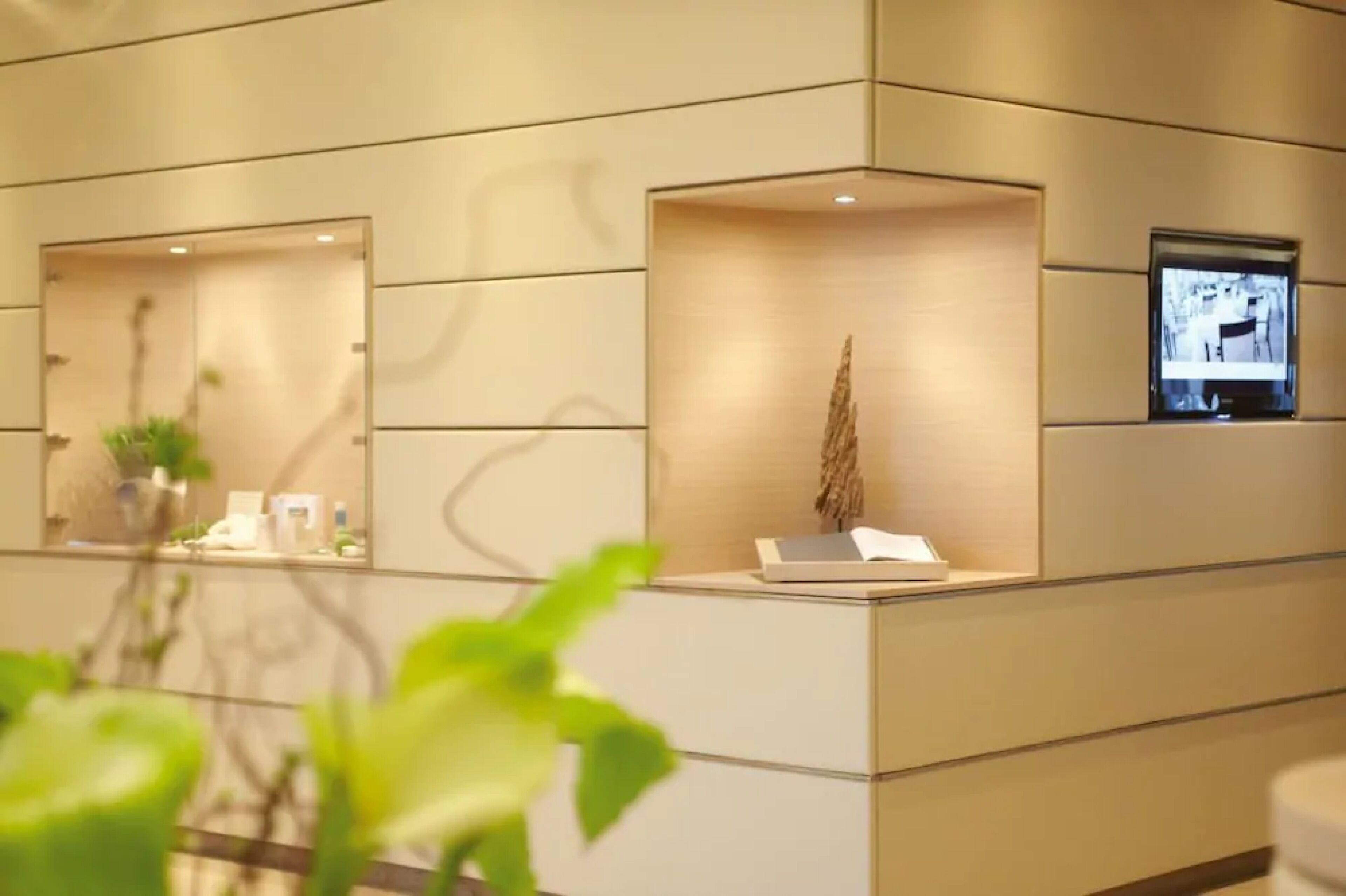 Foto - ambassador hotel & spa