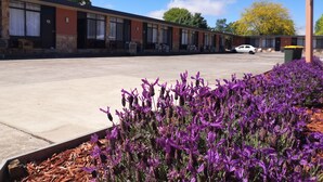 Et motel med parkeringsplads og en række lilla blomster i forgrunden.