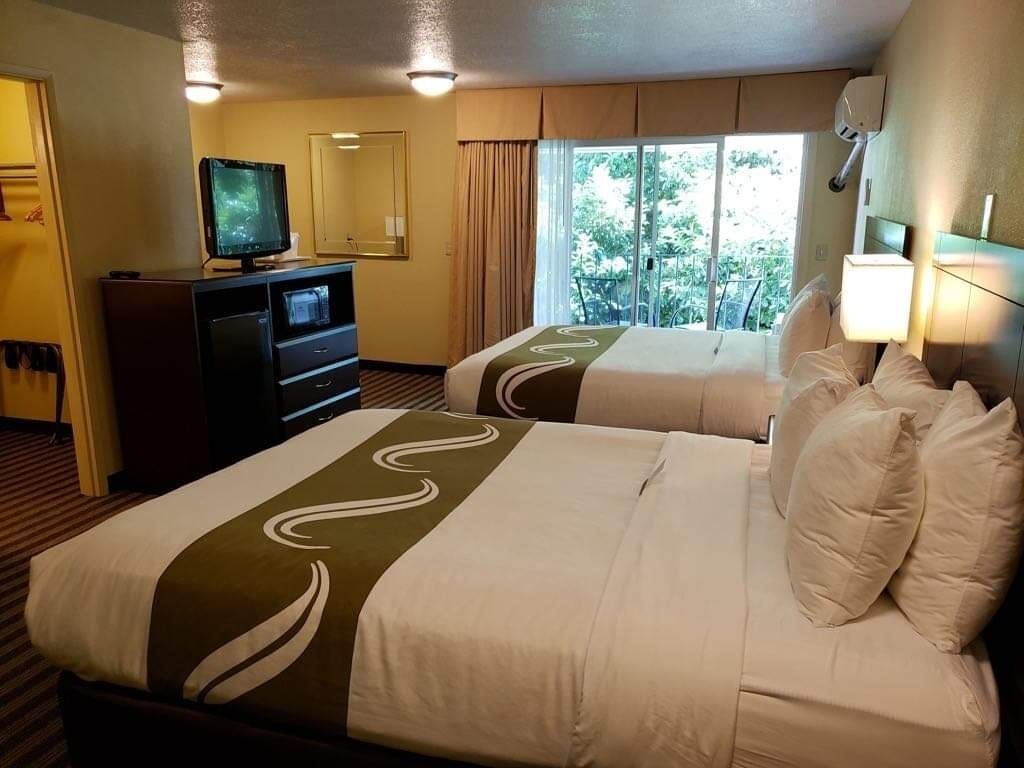 Une chambre d’hôtel avec deux lits, une télévision, un bureau et une fenêtre donnant sur un espace verdoyant.