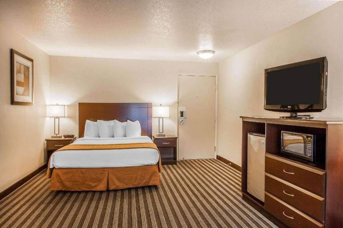 A hotel room with a bed, bedside lamps, a television, and a microwave.
