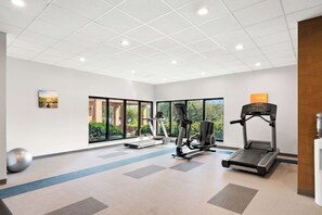 Fitness facility - Comfort Inn Pocono Lakes Region (Lake Ariel)
