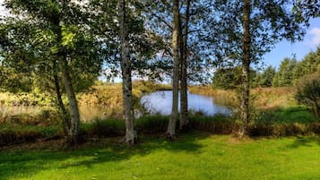 Área da propriedade