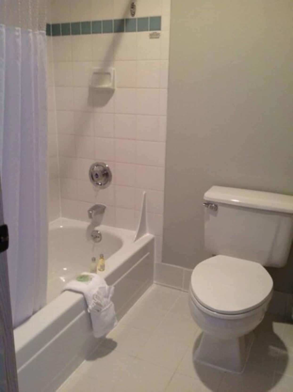 Bathroom | Combined shower/tub, free toiletries, hair dryer, towels
