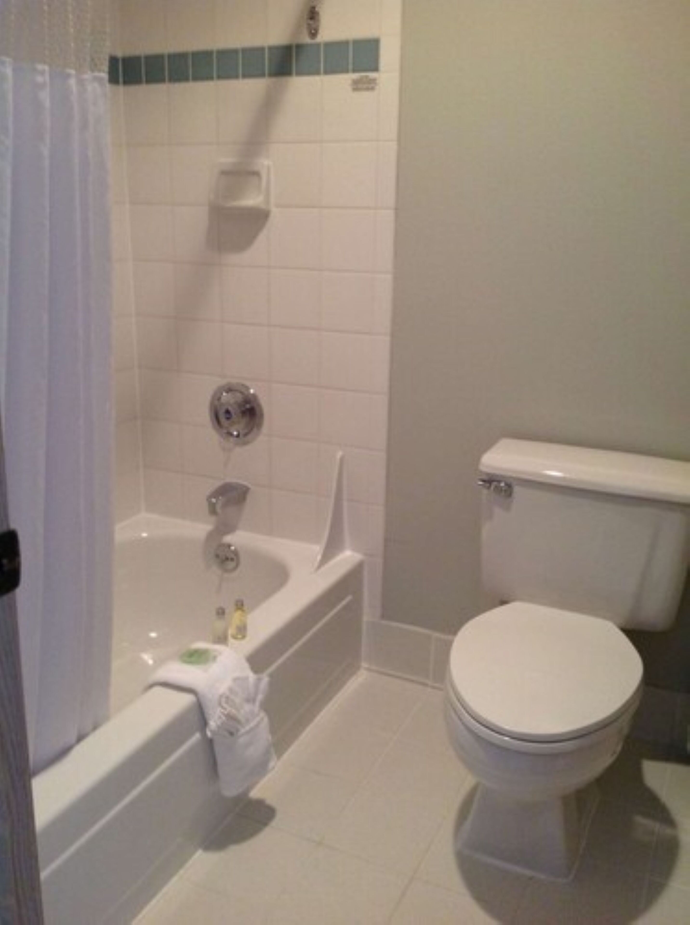 Combined shower/bathtub, free toiletries, hair dryer, towels
