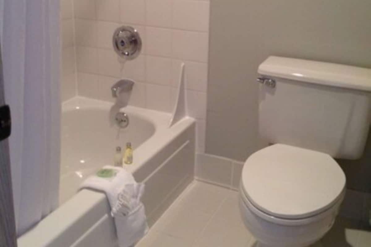 Een bad/douchecombinatie, gratis toiletartikelen, een haardroger