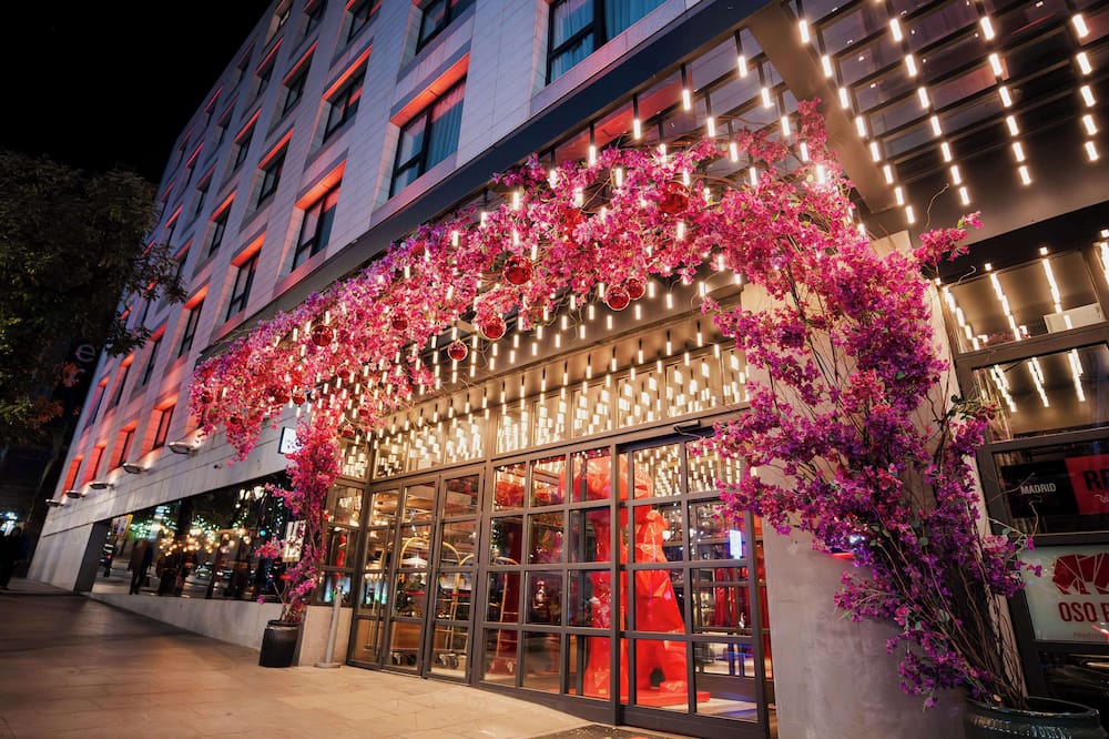 Radisson RED Madrid