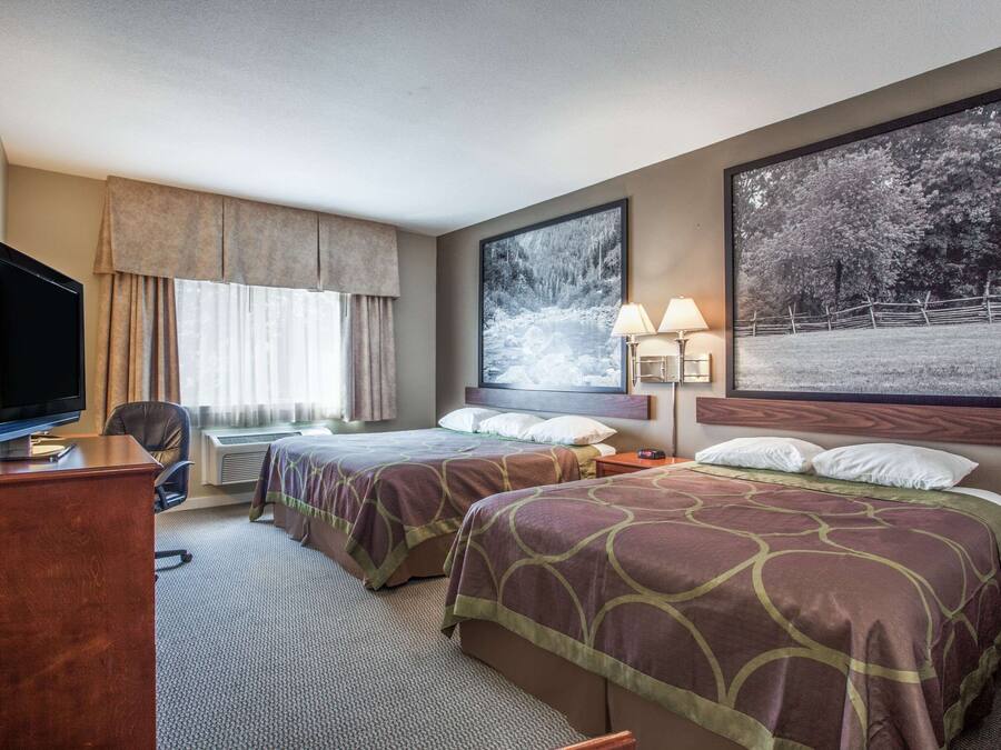 A hotel room with two beds, a desk, a television, and large windows with a view of trees.