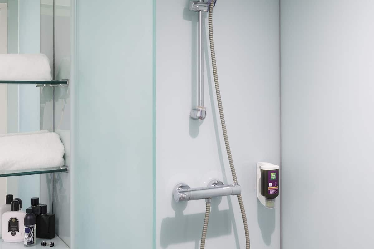 Eco-friendly toiletries, hair dryer, towels