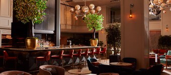 紐約中央公園酒店