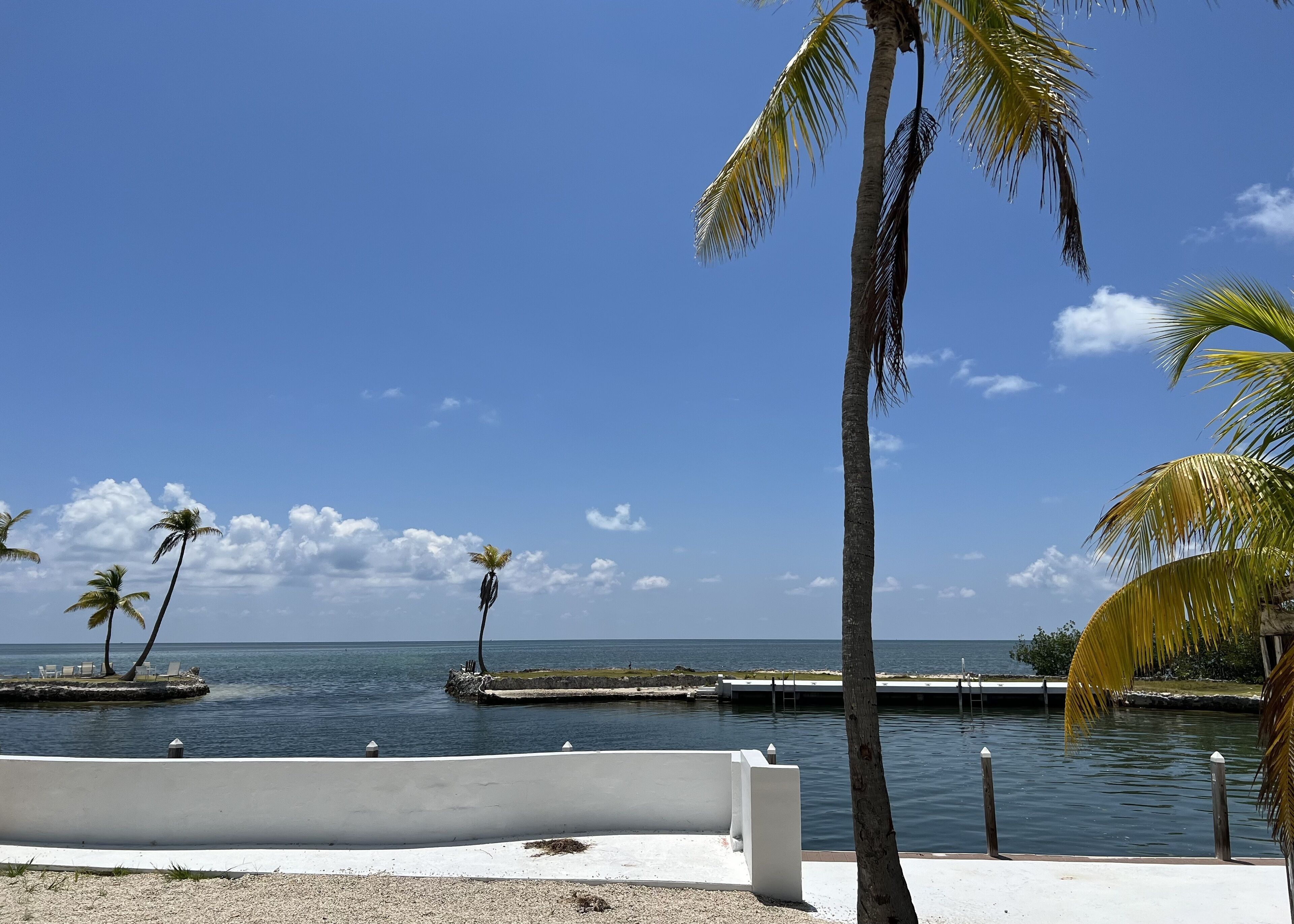 A beach with palm trees, a calm sea, and a white bench.