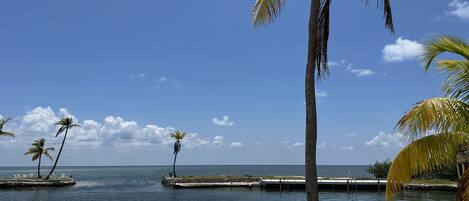 A beach with palm trees, a calm sea, and a white bench.