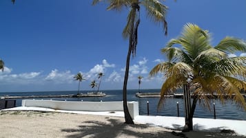 Beach/ocean view