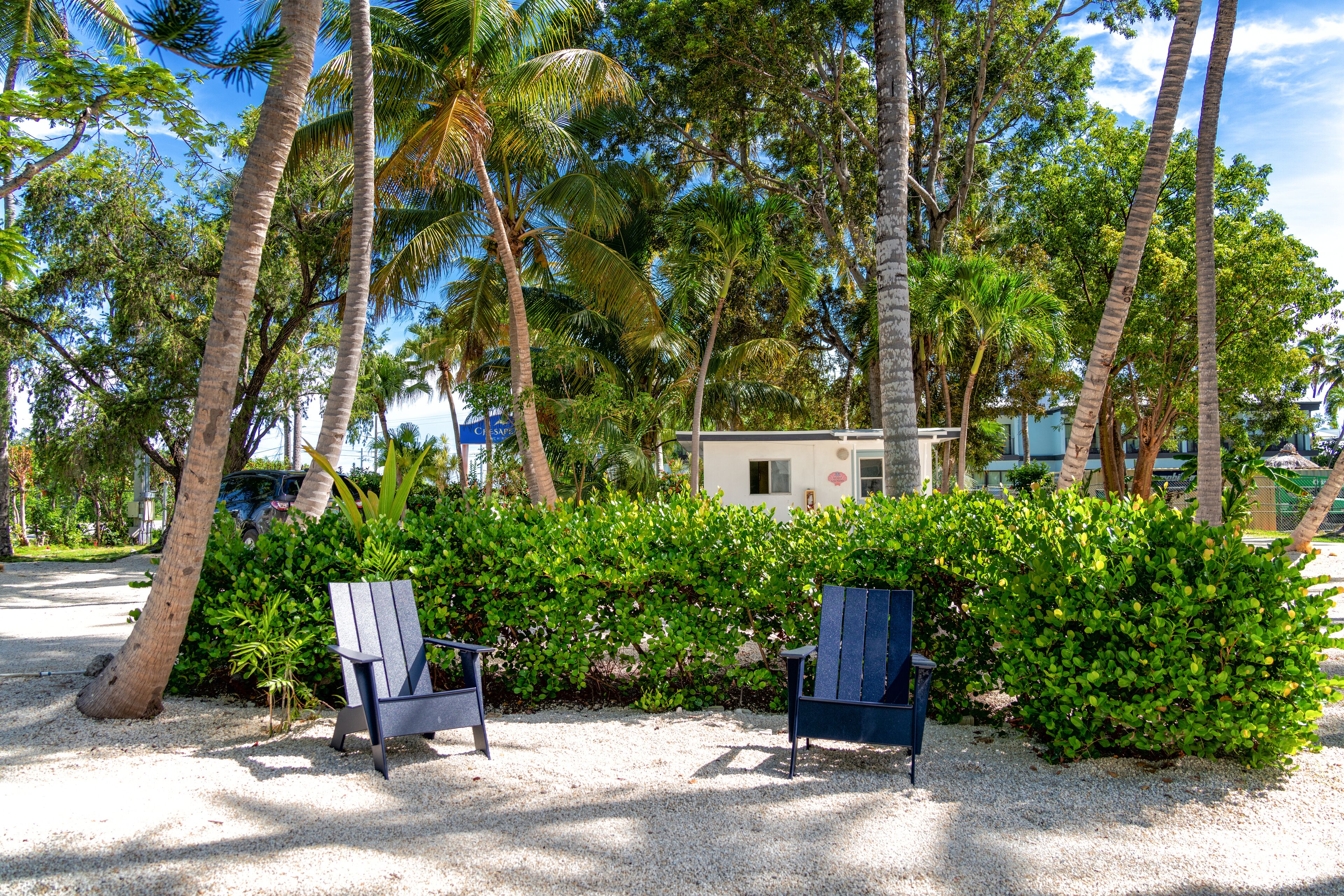 Two outdoor seating areas with chairs and a hedge in the background.