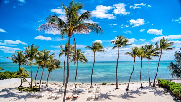 A beach with palm trees and lounge chairs. - Chesapeake Beach Resort (Islamorada)