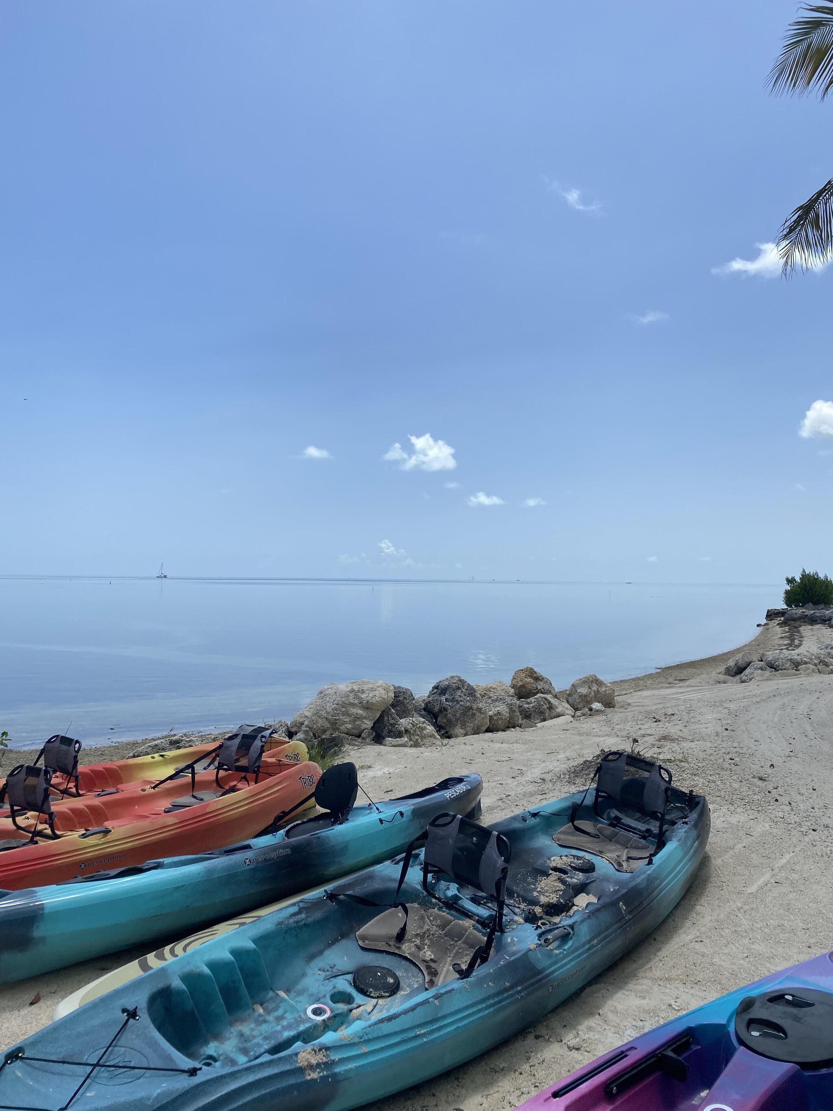 Kayaks lined up on a sandy beach with a clear view of the ocean and a distant boat.