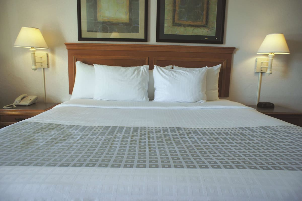 Room, 1 King Bed, Non Smoking | 1 bedroom, premium bedding, desk, iron/ironing board