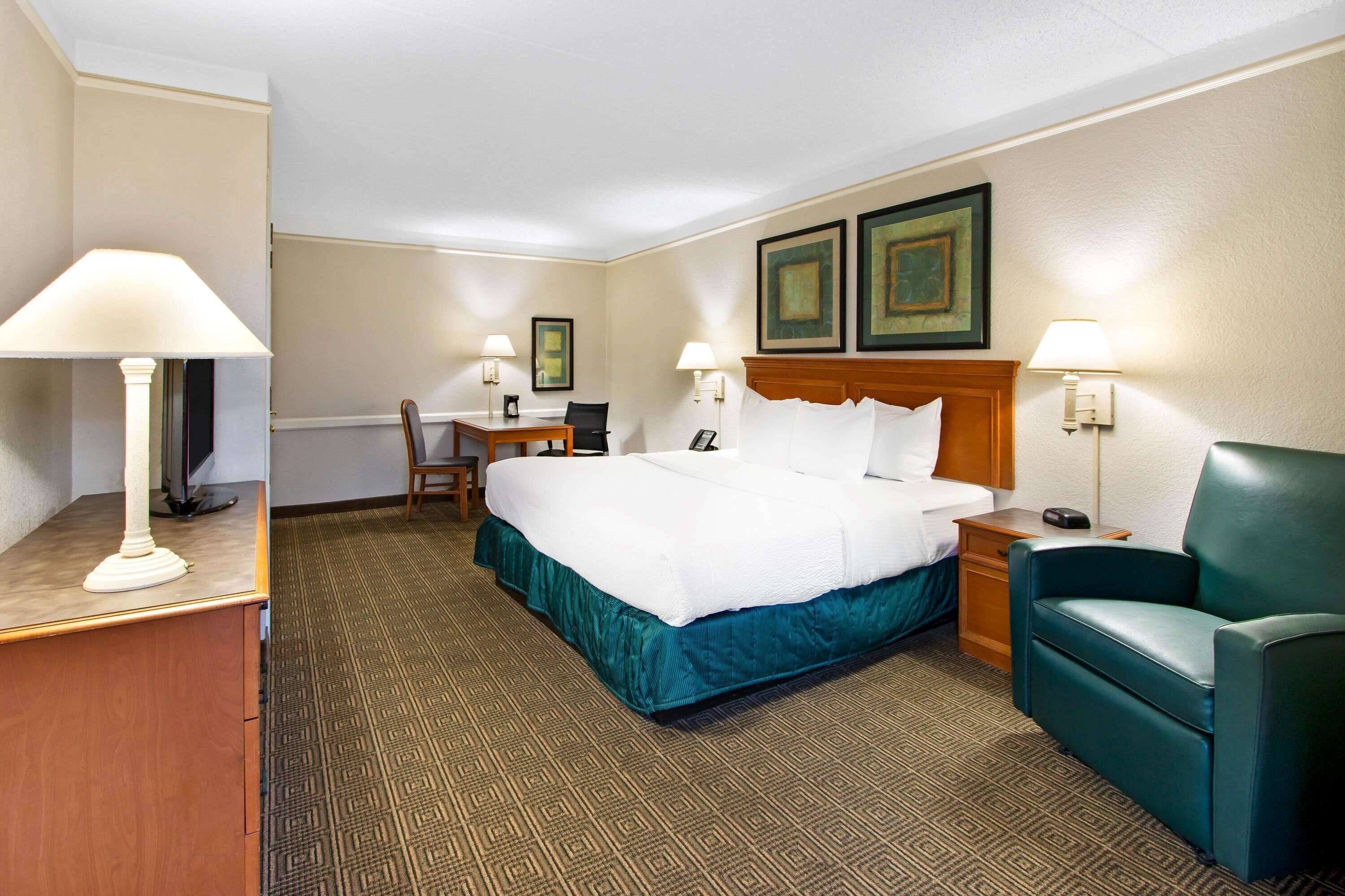 room, 1 king bed, non smoking | 1 bedroom, premium bedding, desk, iron/ironing board