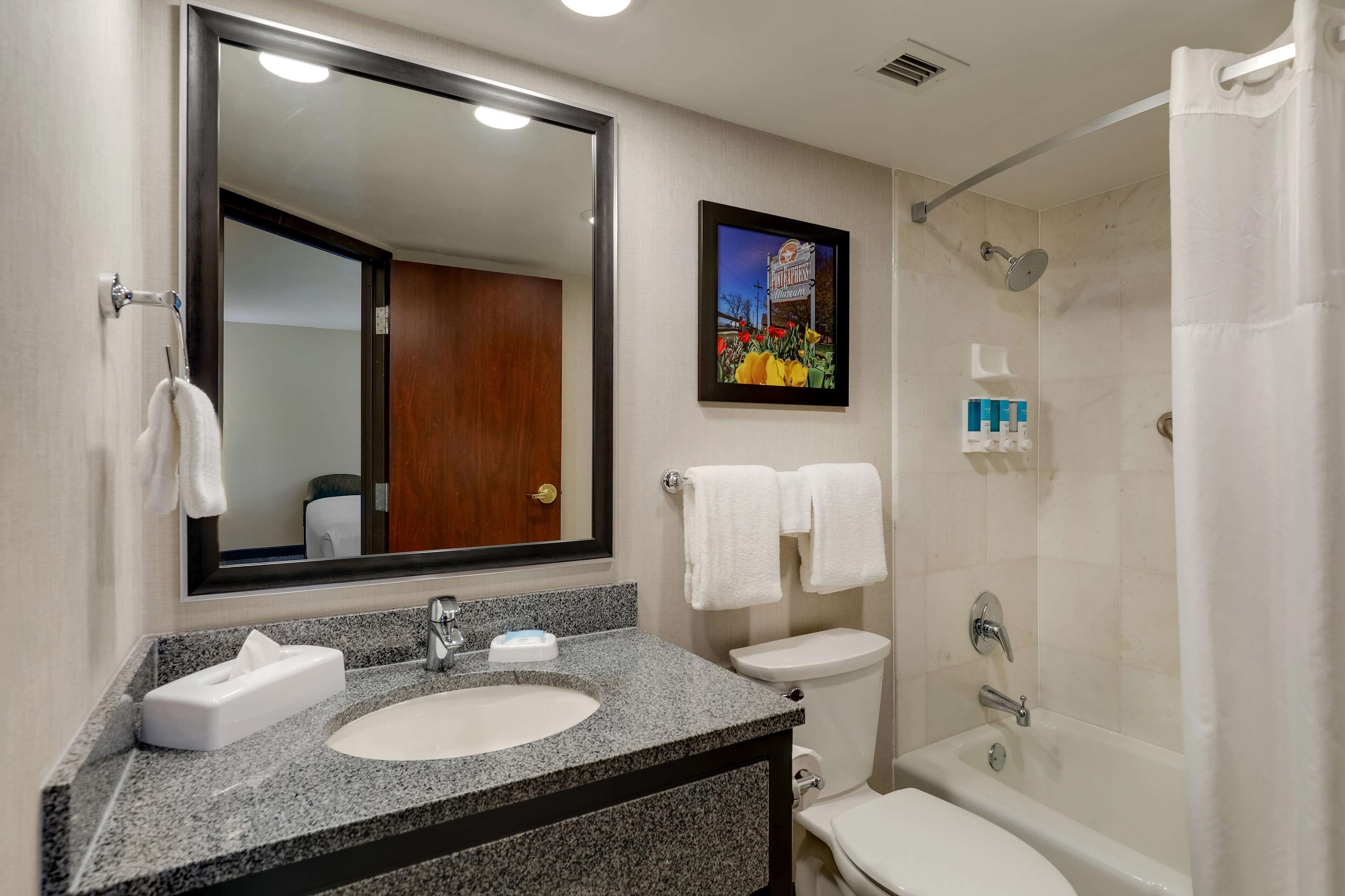 combined shower/bathtub, free toiletries, hair dryer, towels