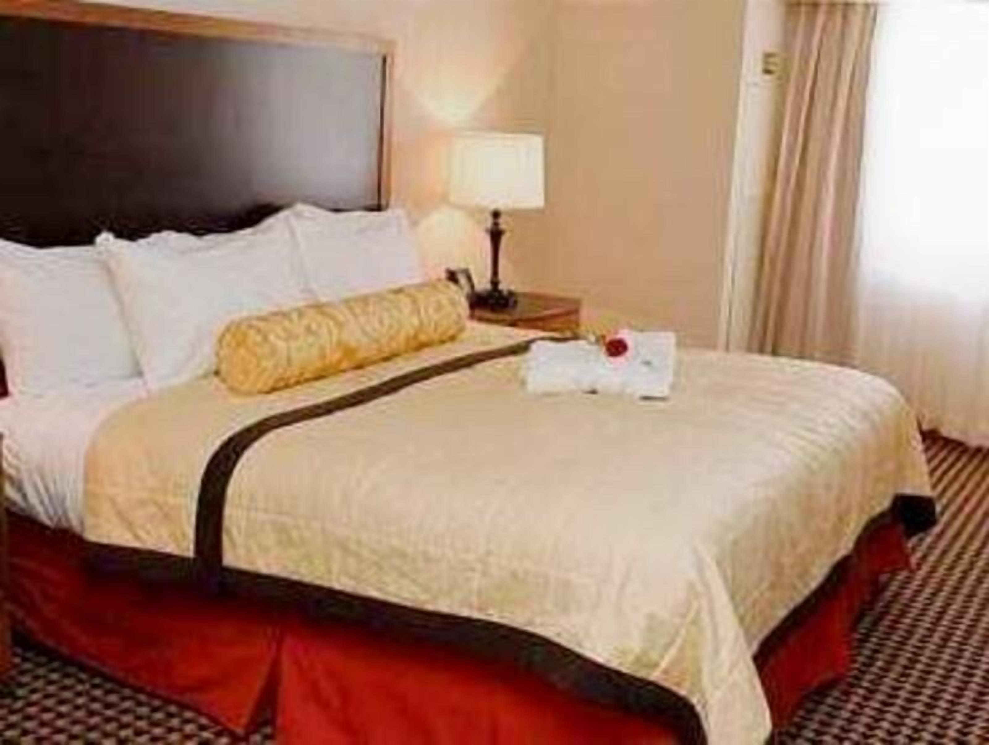 1 habitación, ropa de cama de alta calidad y edredón 