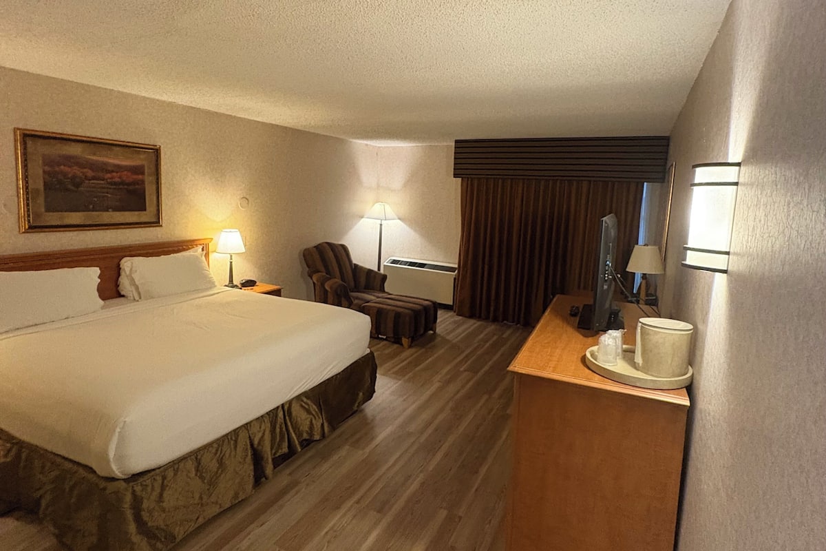 Standard Single Room, 1 King Bed