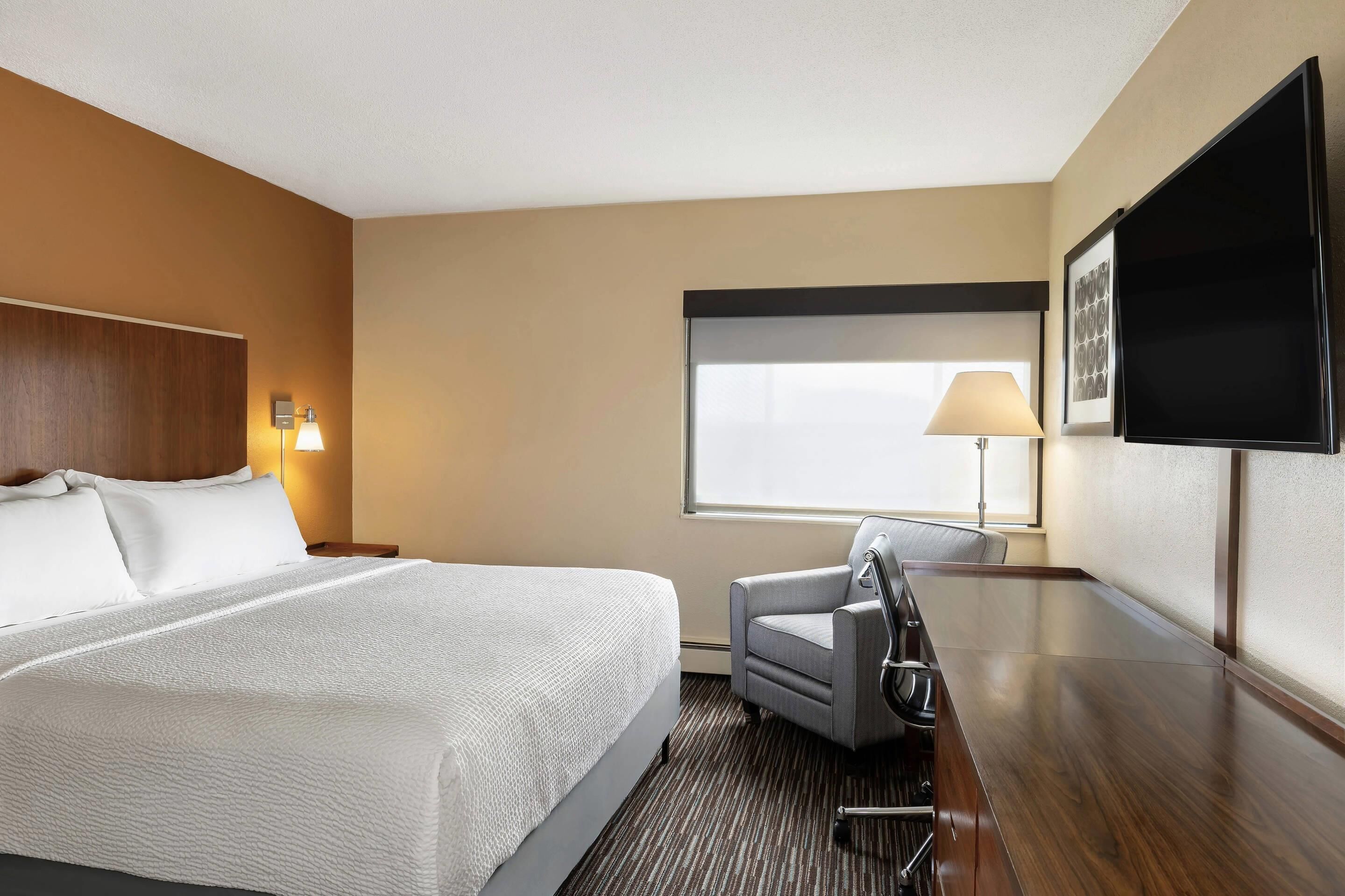 Luxe beddengoed, een strijkplank/strijkijzer, gratis wifi, beddengoed