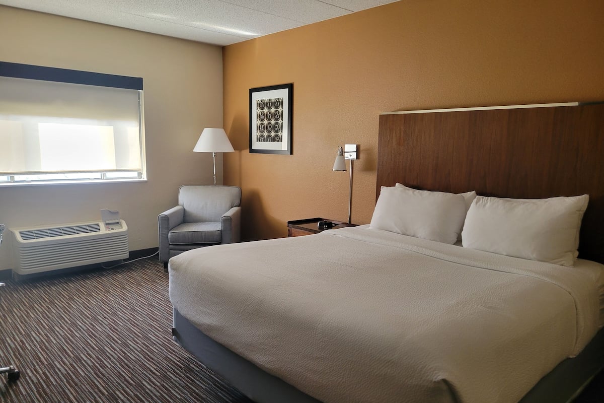 Classic Room | 1 bedroom, premium bedding, iron/ironing board, free WiFi