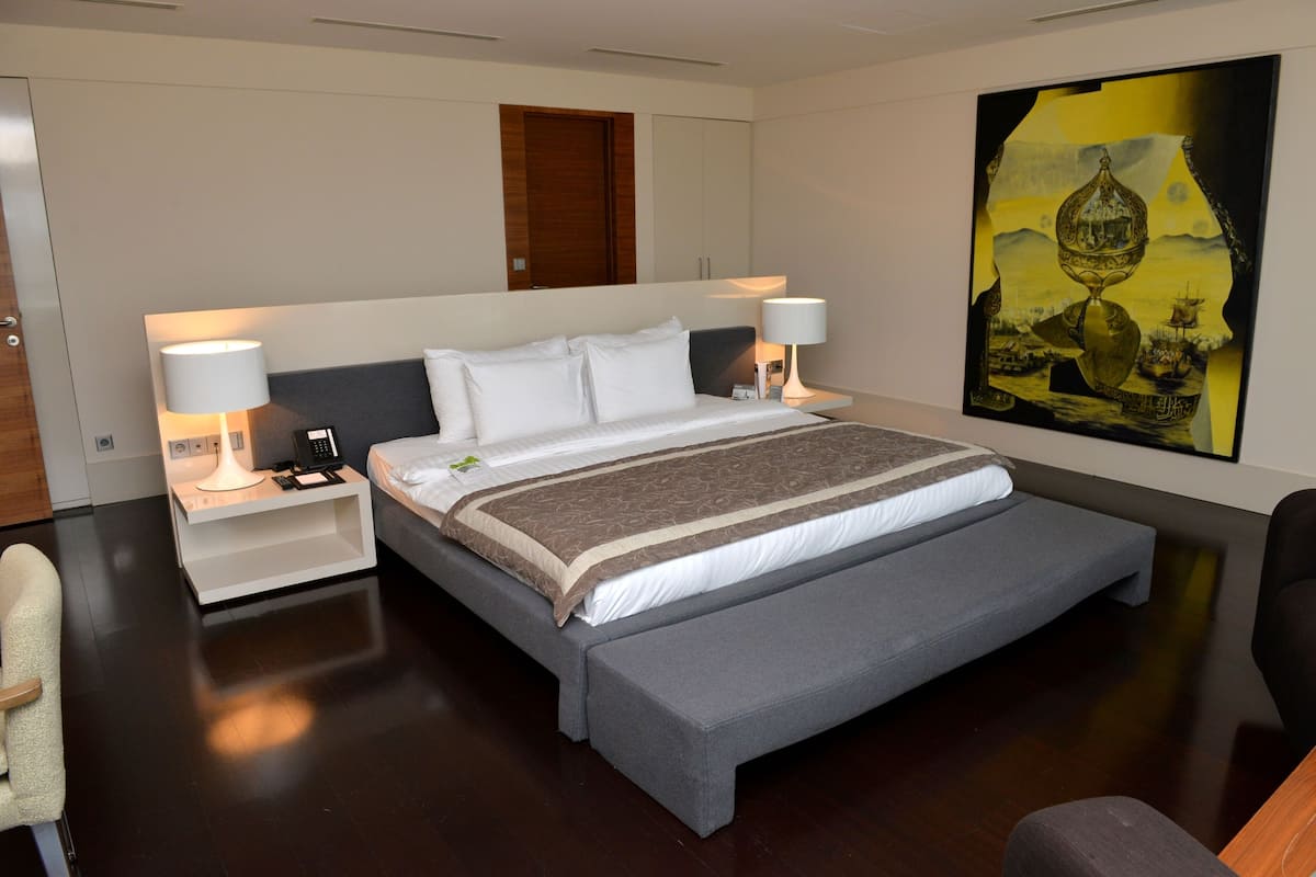 Presidential Suite - Free SPA Access | 1 bedroom, premium bedding, in-room safe, desk