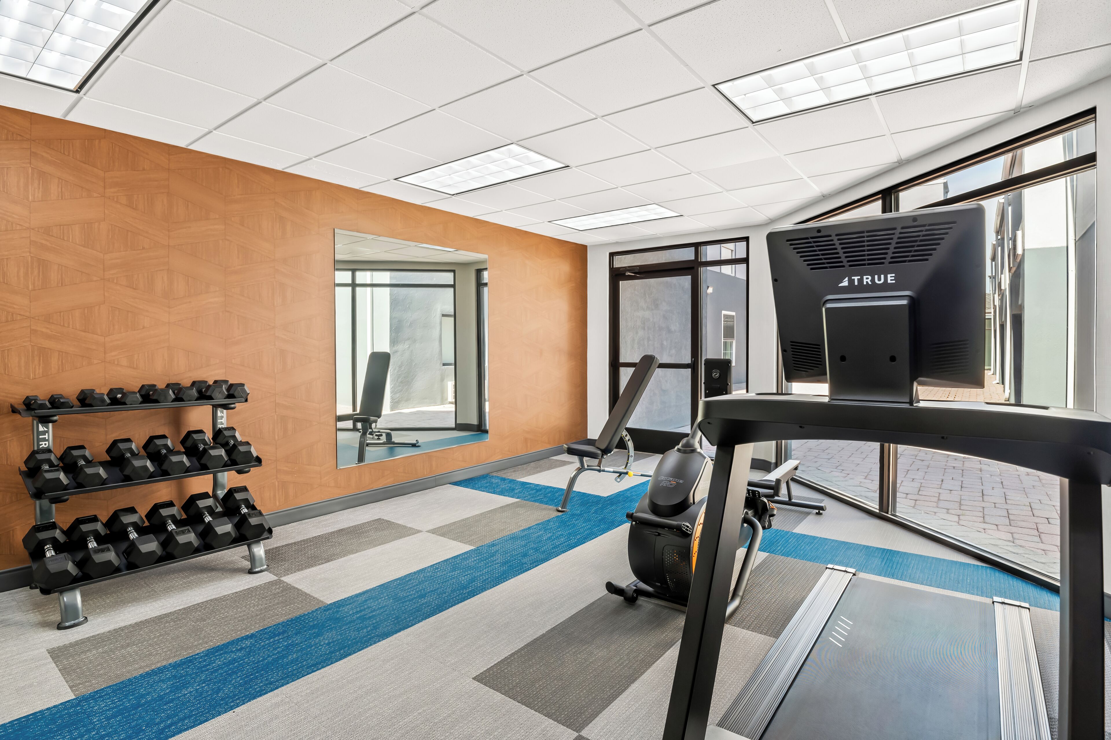 A gym with exercise equipment, a treadmill, and a rack of dumbbells.