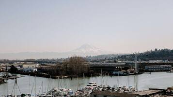 A marina with boats docked, a bridge in the background, and a mountain in the distance.