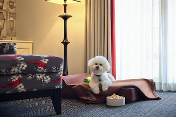 1 bedroom, Frette Italian sheets, premium bedding, pillowtop beds at The Alexandrian Old Town Alexandria, Autograph Collection