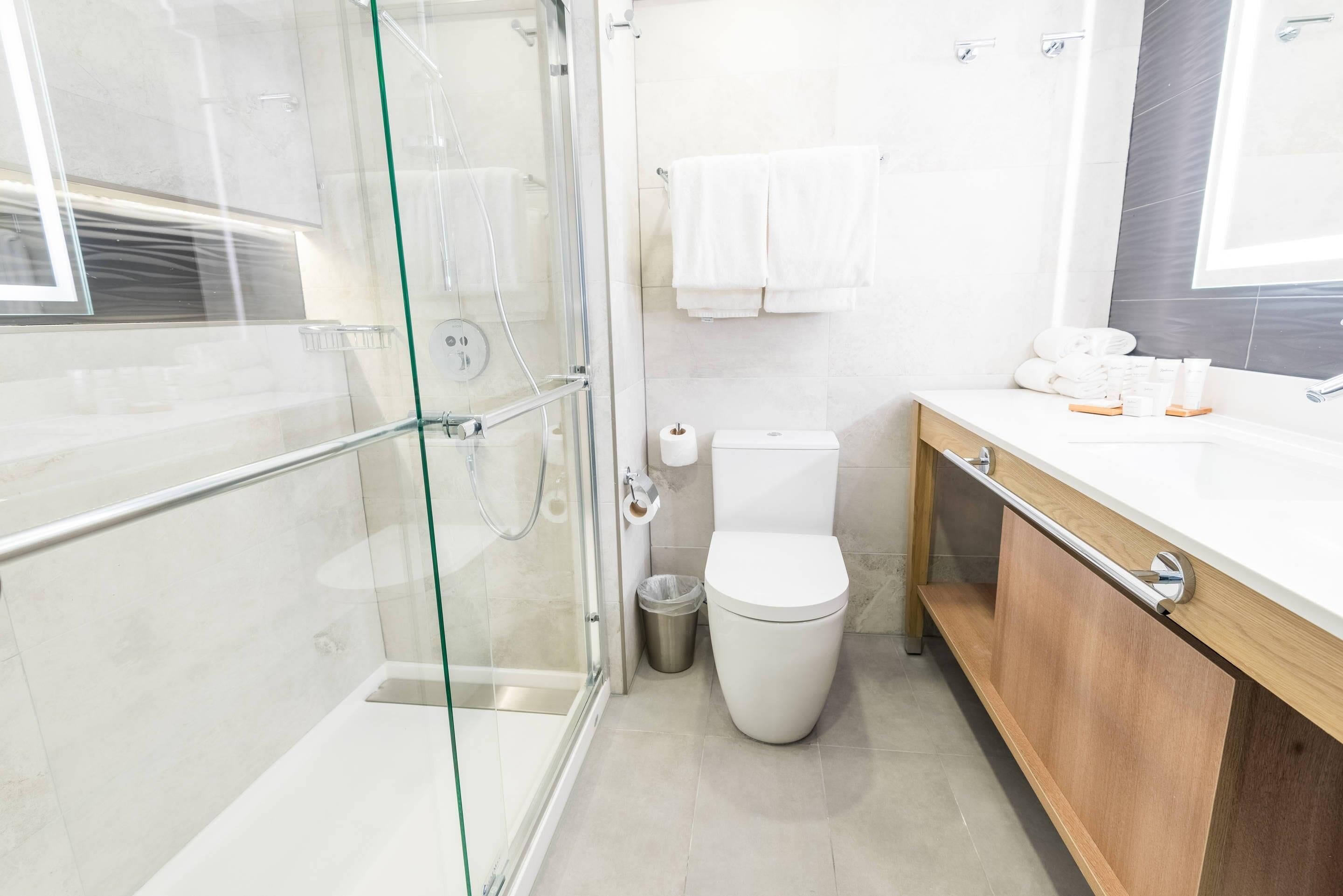 A modern bathroom with a glass shower enclosure, a toilet, a sink with toiletries, and a mirror.