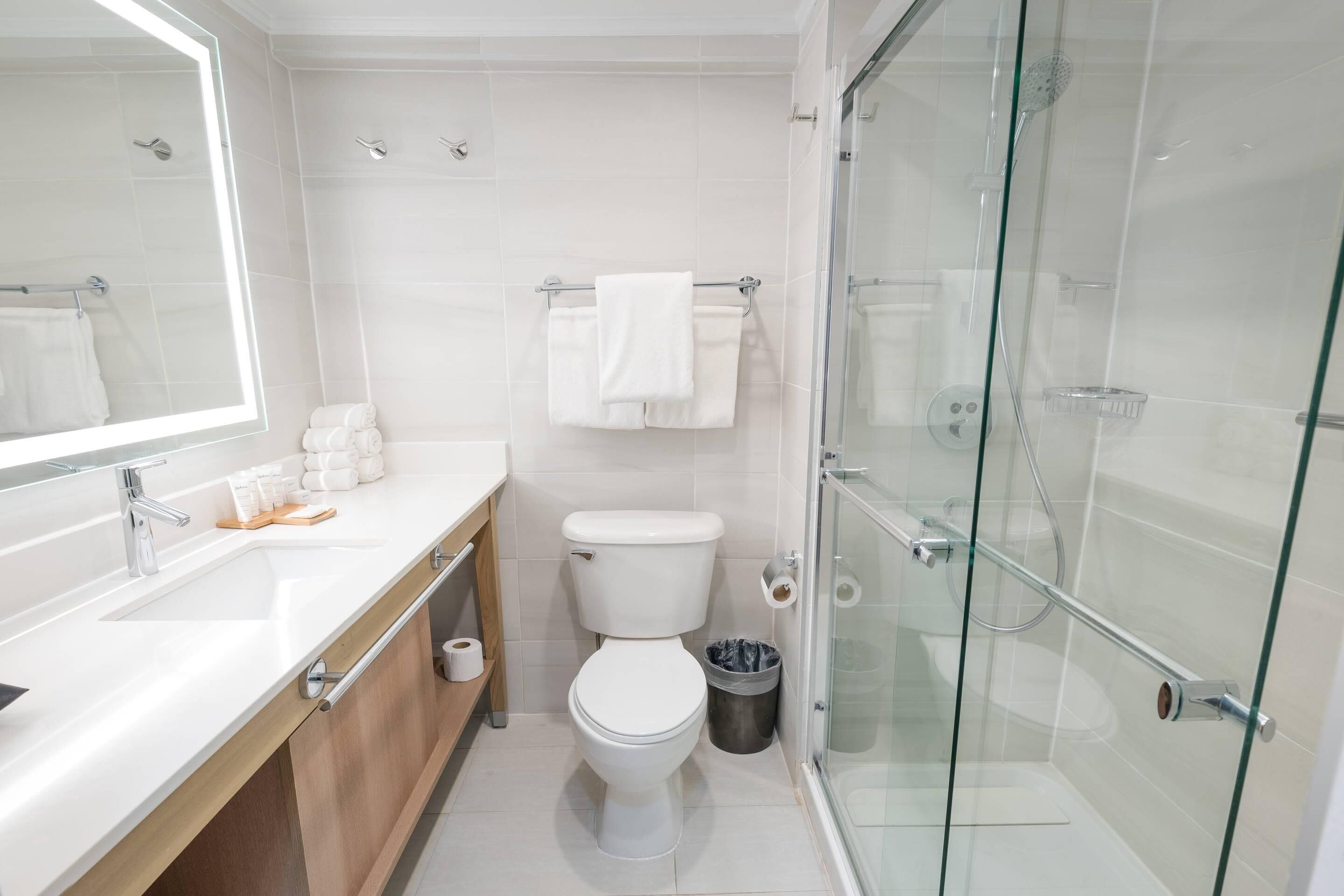 A modern bathroom with a glass shower enclosure, a white sink, and a toilet.