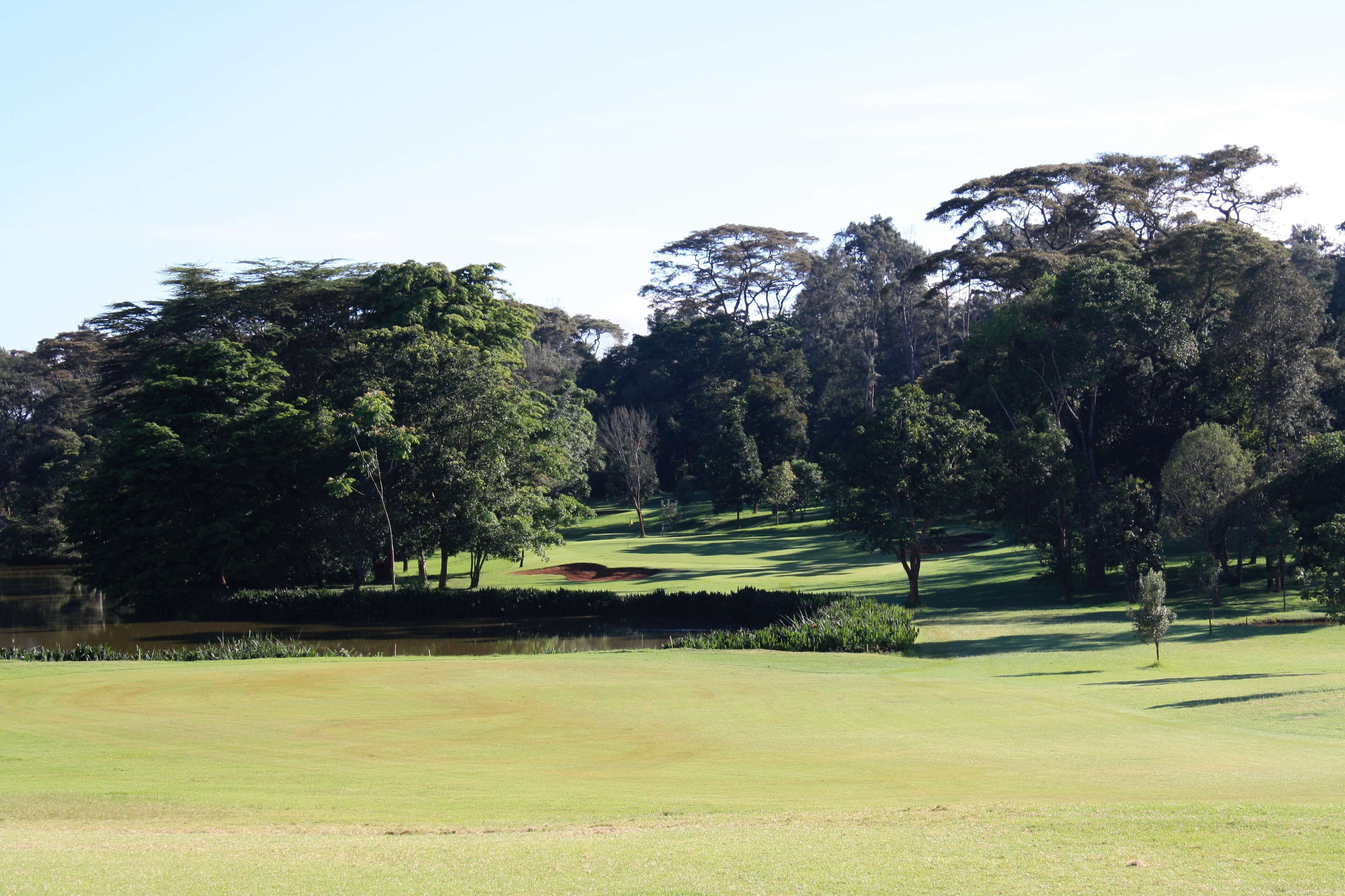 Un campo da golf con uno stagno, alberi e cielo sereno.