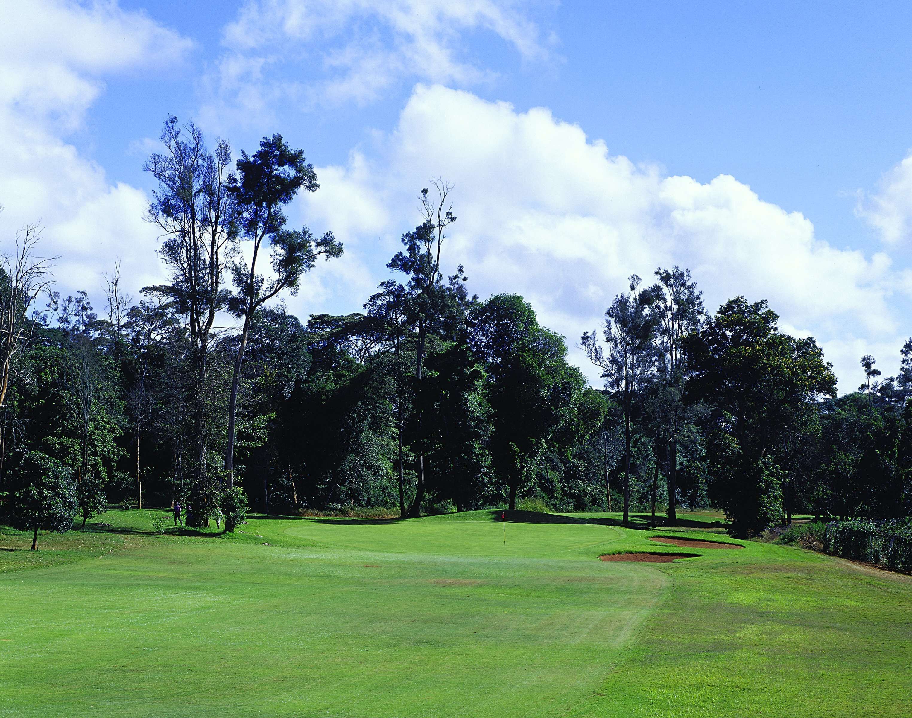 Un campo de golf con un green bien cuidado, árboles y cielo despejado.