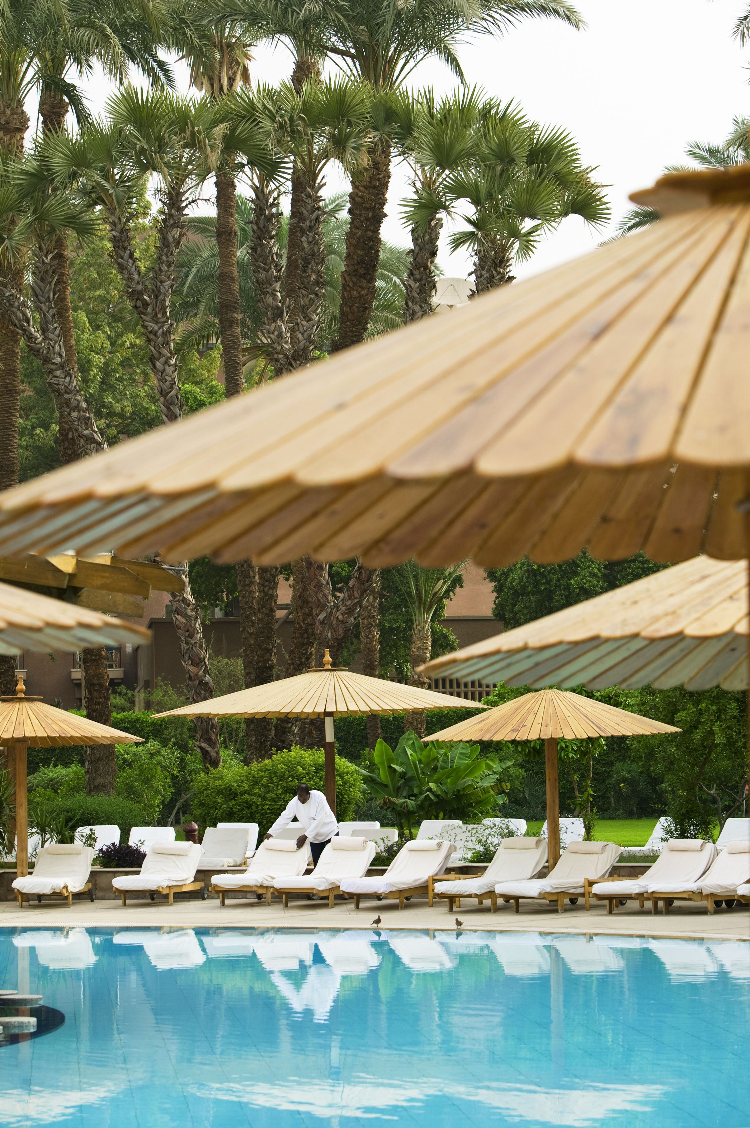 Una piscina al aire libre, sombrillas, sillones reclinables de piscina