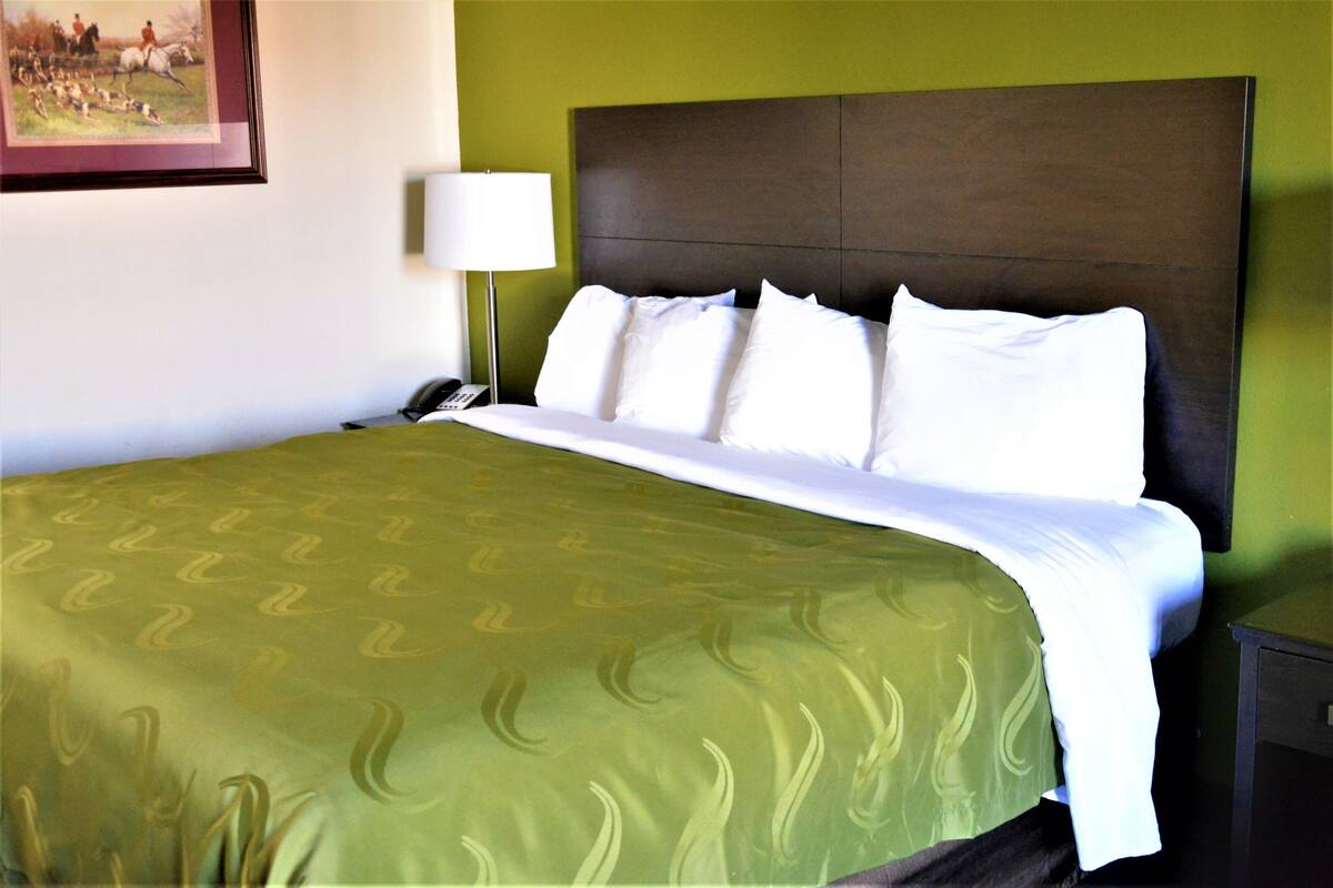 Un cuarto de hotel con una cama grande, una mesita de noche, una lámpara y un cuadro enmarcado en la pared.