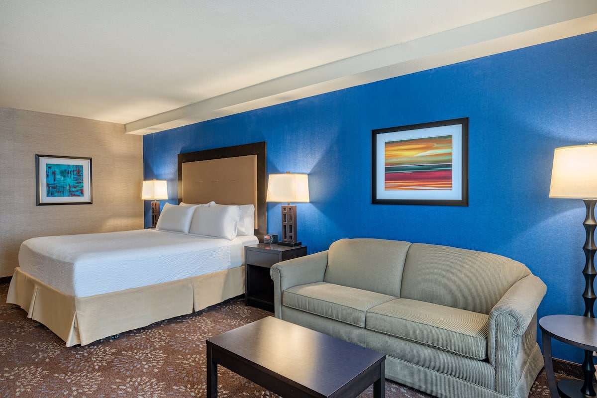 Premium Room, 1 King Bed with Sofa bed | In-room safe, desk, blackout drapes, iron/ironing board