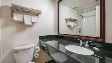 A bathroom with a toilet, sink, and a large mirror.