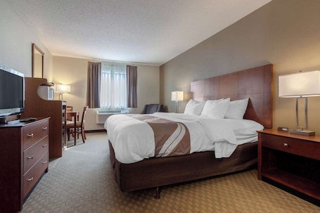 Standard Room, 1 King Bed, Non Smoking | Premium bedding, desk, iron/ironing board, free cribs/infant beds