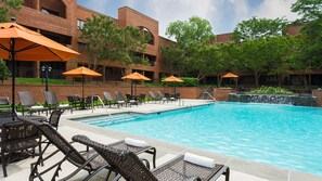 Seasonal outdoor pool, pool umbrellas, sun loungers